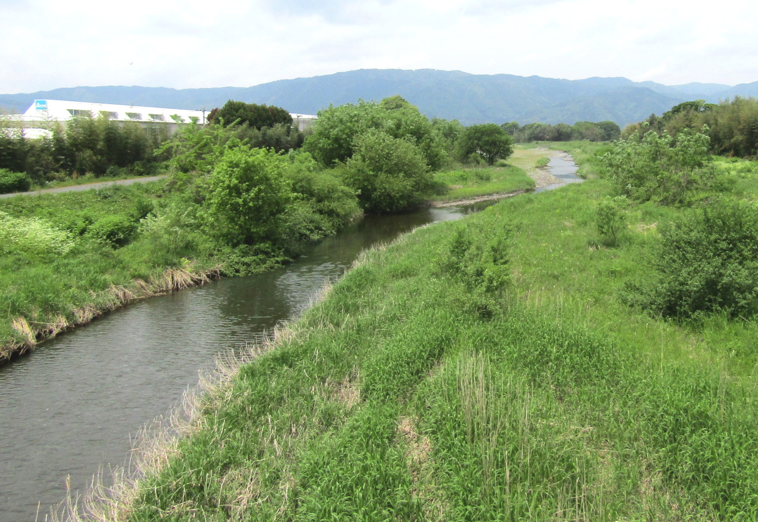 庄垂川（大井川）・今津川・石田川・境川・新保川 なにわの水源びわ湖を守る会